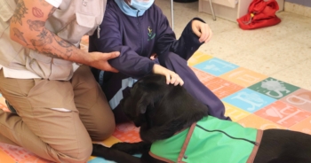 La Ley Celaá y la educación especial: meditaciones escépticas de un recién llegado