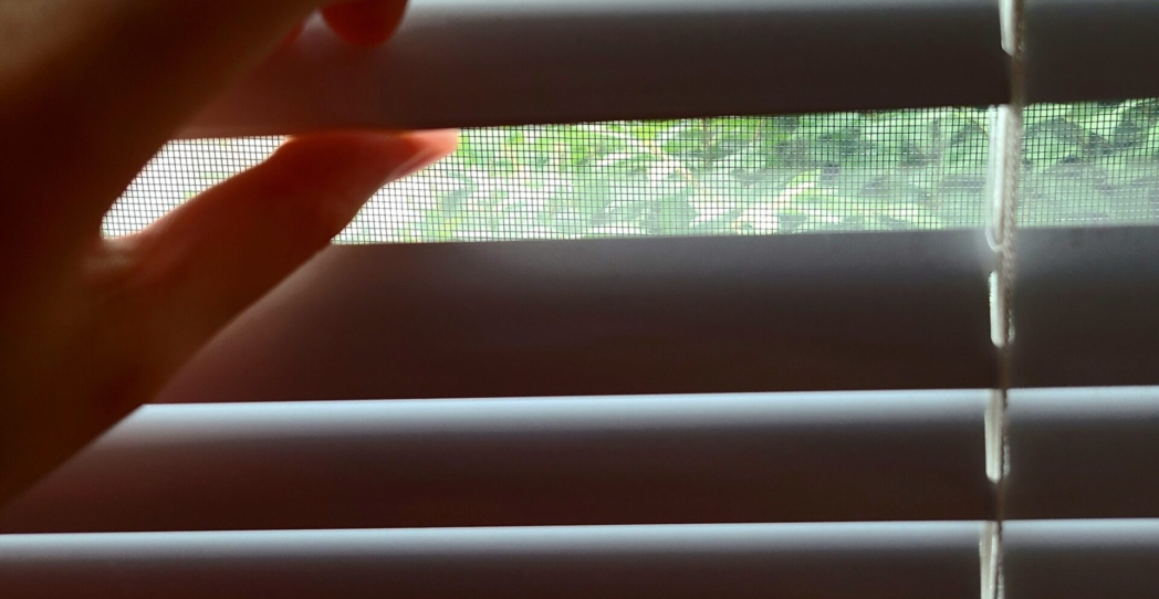 Mi soledad no es para mí