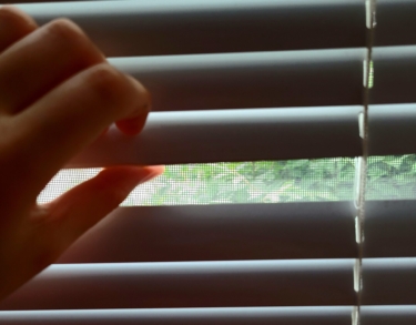 Mi soledad no es para mí