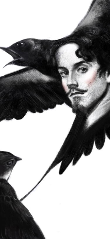 El largo periplo de la evolución. Desde la aparición de la vida hasta el Homo Sapiens