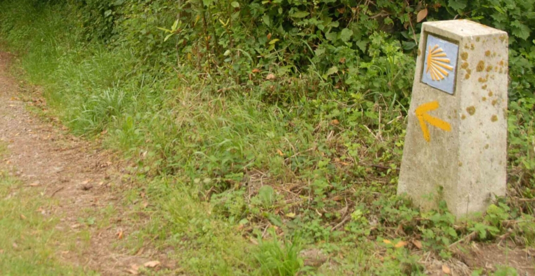Año Santo Jacobeo. A Santiago con mochila, bordón y mascarilla