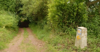 Año Santo Jacobeo. A Santiago con mochila, bordón y mascarilla