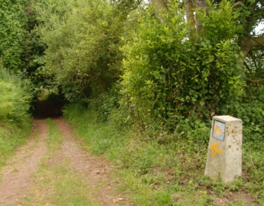 Año Santo Jacobeo. A Santiago con mochila, bordón y mascarilla