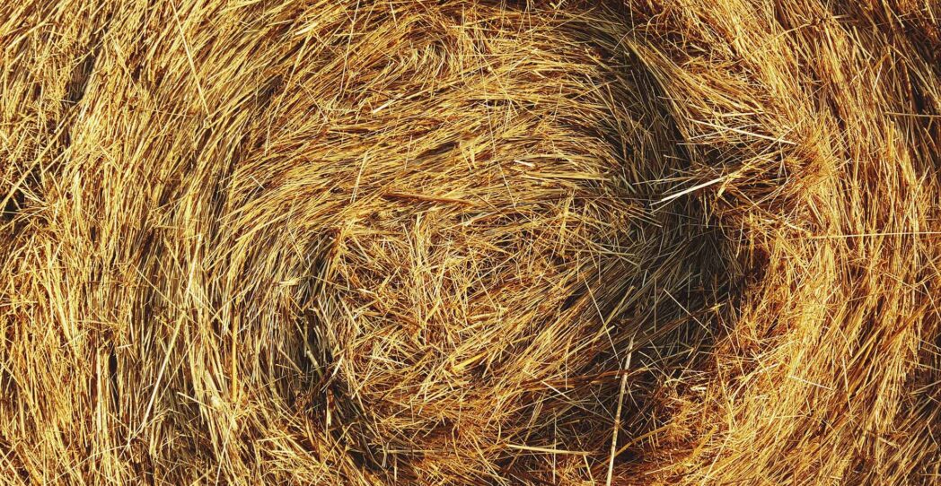 Construcción con balas de paja