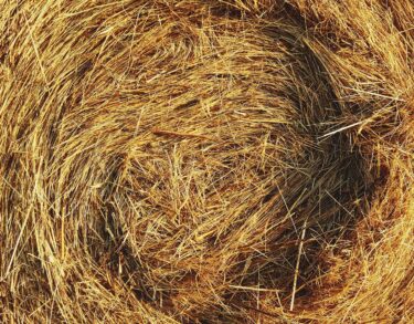 Construcción con balas de paja