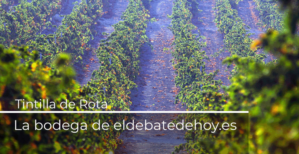 Tintilla de Rota, la recuperación de la memoria y la tradición
