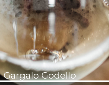 Gargalo propone la fusión del vino, el diseño, la moda y el respeto al entorno