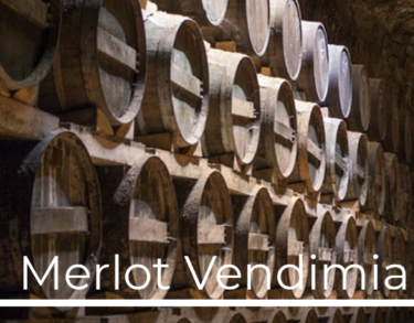 Las chimeneas y cuevas vinícolas de Tomelloso, «únicas» en España