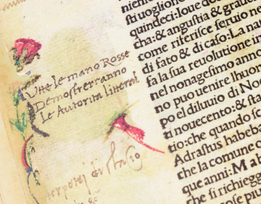 Dante y la lengua materna