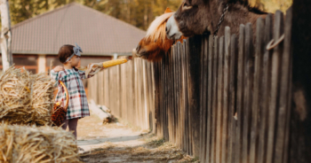 Mis niños y otros bichos