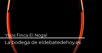 La armonía con el entorno de una catedral del vino