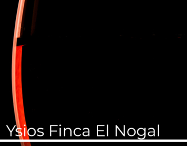 La armonía con el entorno de una catedral del vino