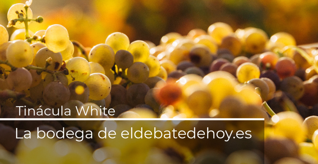 Un vino de hoy en ánforas y tinajas con historia