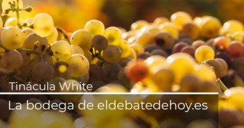 Un vino de hoy en ánforas y tinajas con historia
