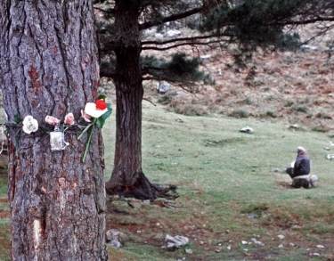 Gritarán las piedras: ¿Qué está pasando en Garabandal?