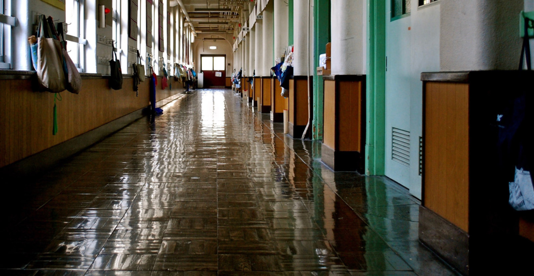 El sistema educativo como realidad plástica