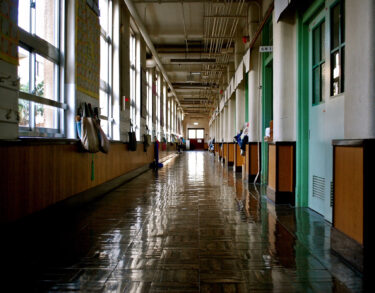 El sistema educativo como realidad plástica